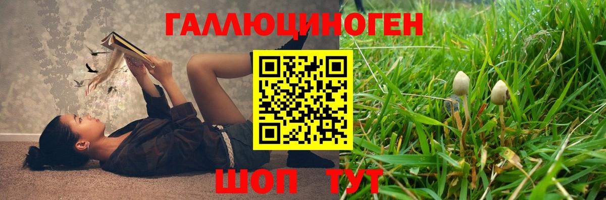 Псилоцибиновые грибы Psilocybe  Вход с VPN  Псилоцибиновые грибы мухоморы  Рузаевка 
